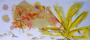 K. Chaussabel - Exploring